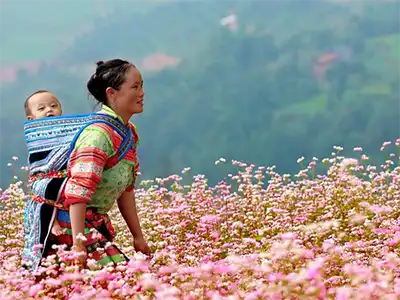 Du lịch Hà Giang, tour Hà Giang 2 ngày 3 đêm từ Hà Nội