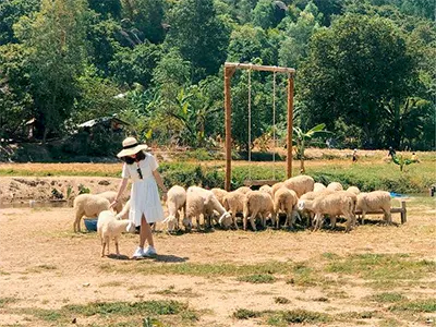 Tour Ninh Thuận 4 ngày 3 đêm từ Hà Nội - Tanyoli
