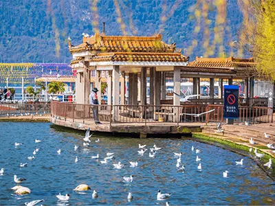Tour Côn Minh Trung Quốc 4 ngày 3 đêm từ Hà Nội đi Thạch Lâm