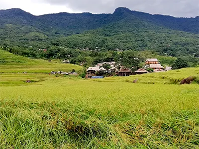Tour Pù Luông Mai Châu 2N1Đ - Trải nghiệm thiên nhiên và văn hóa