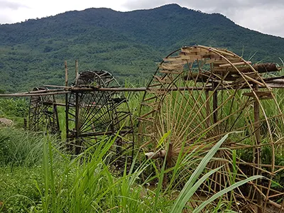 Tour Pù Luông - Hang Kia Pà Cò (2N1Đ) - Săn mây, ngắm lúa