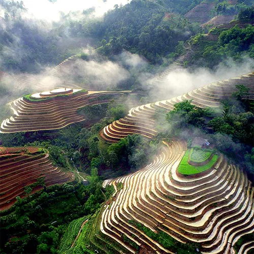 Ruộng bậc thang Hoàng Su Phì Hà Giang hùng vĩ - di sản Quốc gia, điểm hút khách đi du lịch Hoàng Su Phì