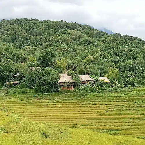 Ruộng bậ thang Pù Luông