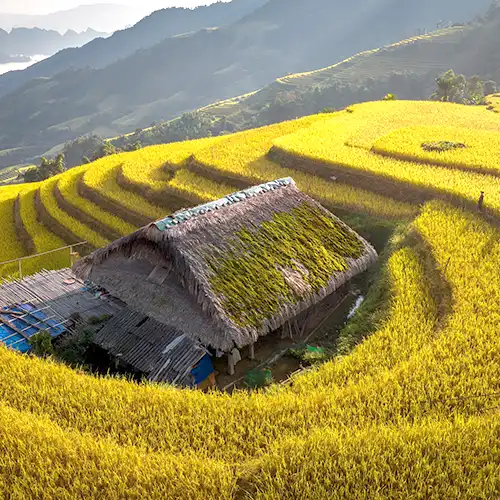 Xà Phìn, Hà Giang vào mùa lúa chín