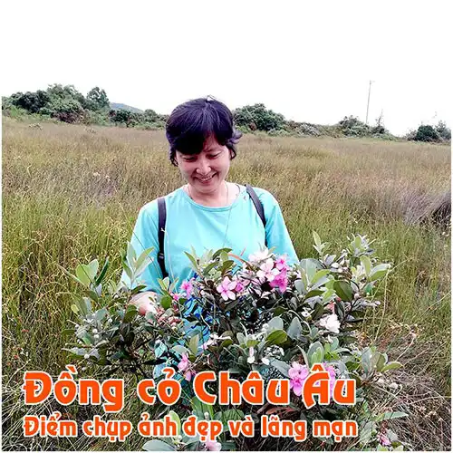 Tour Quan Lạn Checin đồng cỏ châu âu 