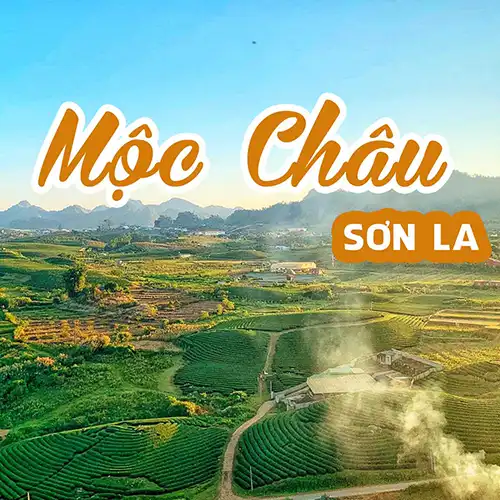 Mộc Châu Sơn La Tour du lịch Tây Bắc