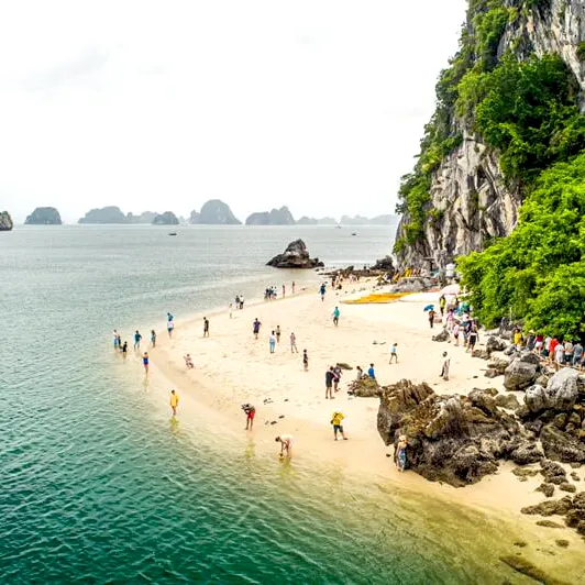 Tour Hà Nội Hạ Long 1 ngày check-in đảo Titop