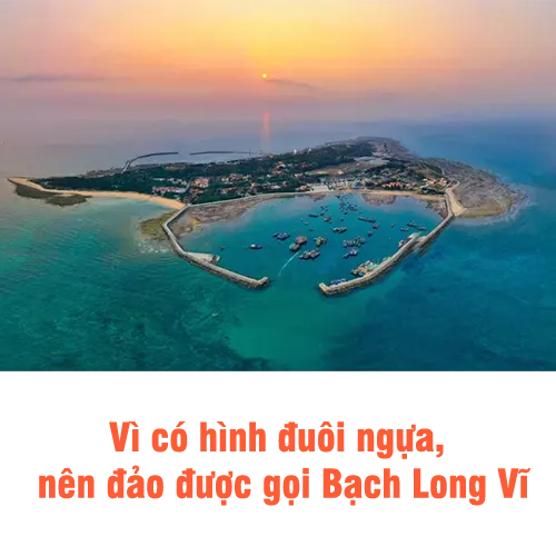 Bản đồ toàn cảnh đảo Bạch Long Vĩ với 2 âu tàu tránh bão 2 mặt đảo