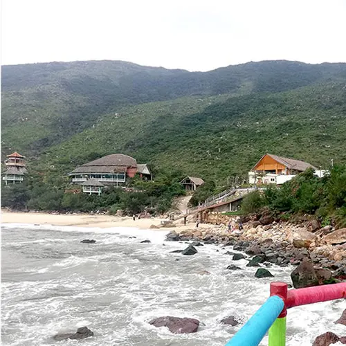 Biển Kỳ Co Quy Nhơn trong xanh, cảnh đẹp hoang sơ và nhiều góc check in