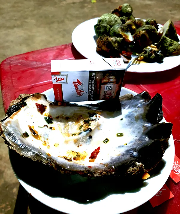 Hàu biển ngoại cỡ tại Cồn Cỏ