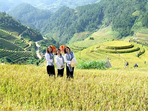 Du khách mặc trang phục bà ba, khăn rằn chụp ảnh trên đồi Mâm Xôi mùa lúa chín