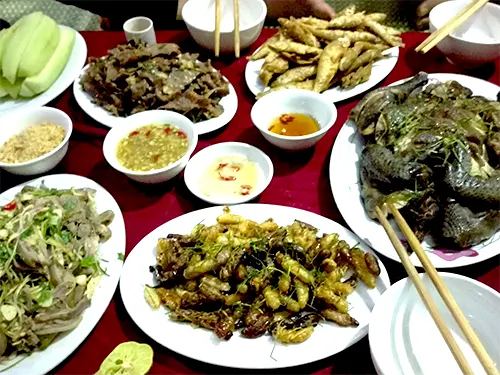 Bữa tối đặc sản Mù Cang Chải: gà đen, cá suối, nhộng ong