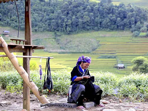 Cụ bà người H'Mông ngồi may vá trước nhà bên ruộng bậc thang