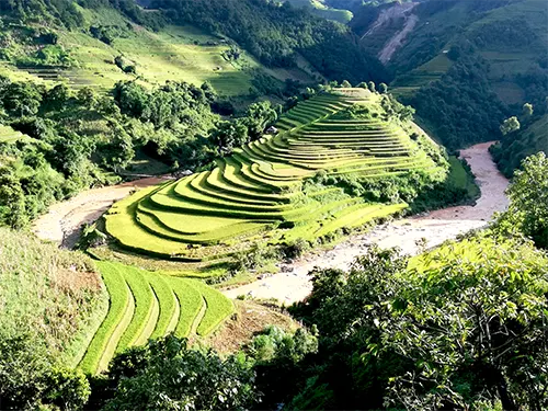 Ruộng bậc thang hình mũi giày mang tên Mũi Hài ở Mù Cang Chải nhìn từ trên cao
