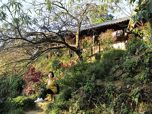 Bậc thang đá vào nhà người H'Mông rực rỡ sắc hoa ở Sin Suối Hồ