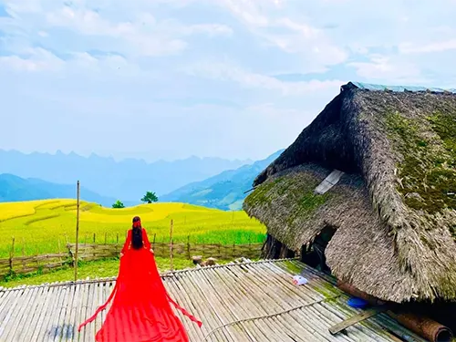 Ngắm ruộng bậc thang mùa lúa chín từ sàn phơi nhà rêu Xà Phìn