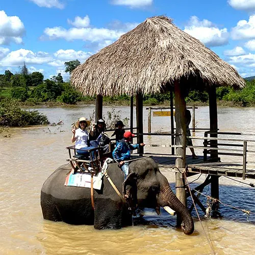 Voi gắn liền với đồng bào Tây Nguyên