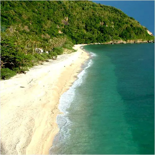 Biển Hòn Cau Côn Đảo với làn nước trong xanh và bãi cát trắng hoang sơ