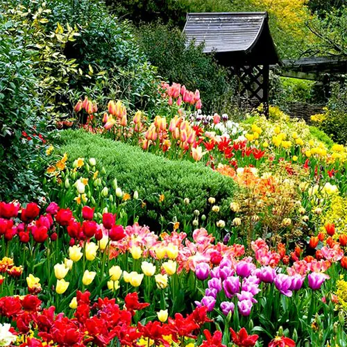 Đà Lạt - thành phố ngàn hoa