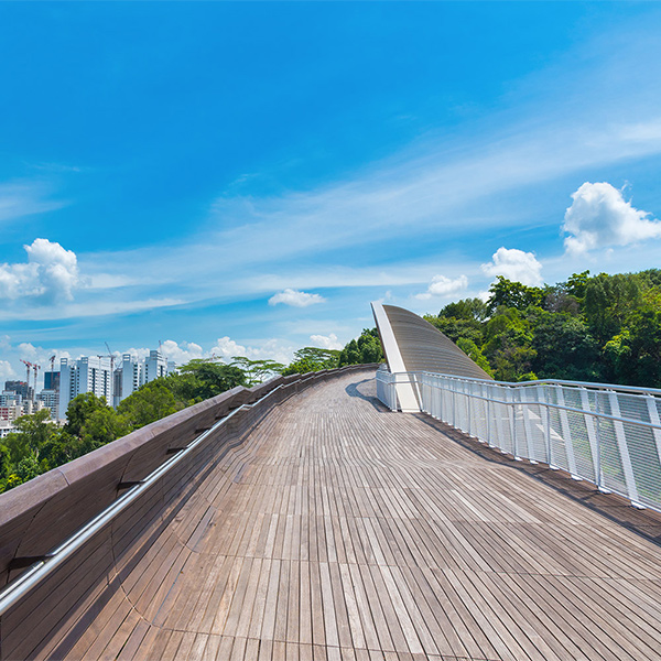 Cầu đi bộ có cấu trúc lạ bậc nhất thế giới - Henderson Wave
