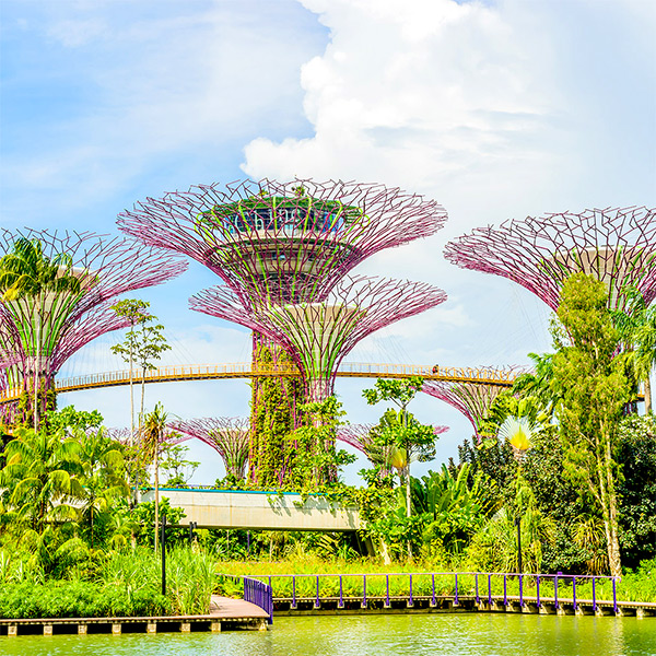 Khu vườn năng lượng Gardens by the Bay