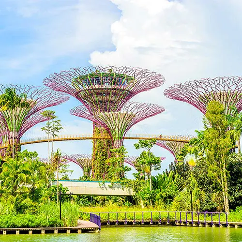 Khu vườn năng lượng Gardens by the Bay