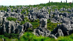 Rừng đá Thạch Lâm - Trung Quốc Rừng đá Thạch Lâm - Trung Quốc