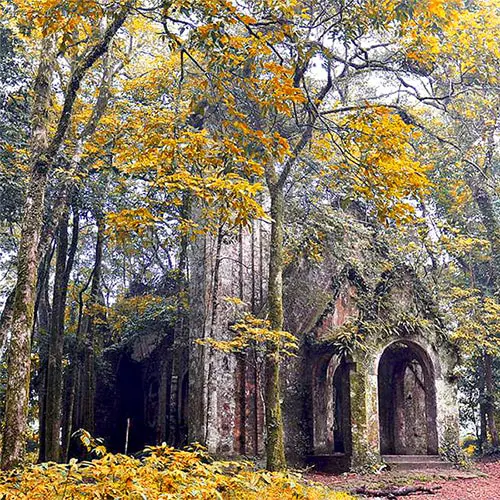 Tour K9 Ba Vì - Thanh Thủy Phú Thọ 2 ngày 1 đêm check-in tu viện cổ trên núi Ba Vì