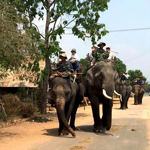 Buôn Đôn - cái nôi của nghề săn voi rừng