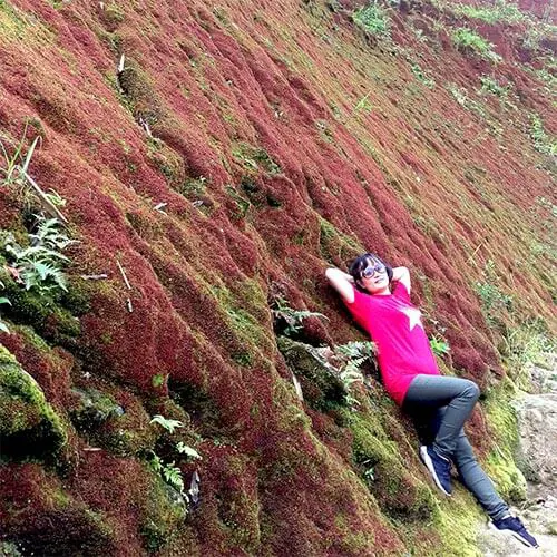 Thảm tảo đỏ rộng và đẹp trên đường lên núi Chiêu Lầu Thi - Trải nghiệm tuyệt vời trong tour Chiêu Lầu Thi