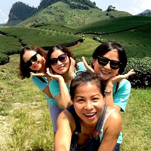 Đồi chè Mộc Châu xanh mát - điểm đến đẹp trong tour Mộc Châu Tà Xùa 2 ngày 1 đêm