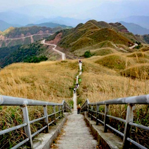 Tour Bình Liêu check in đồi lau tại cột mốc 1297