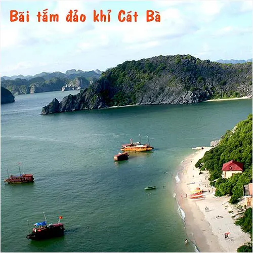 Đảo Khỉ - điểm tham quan được yêu thích khi du lịch đảo Cát Bà