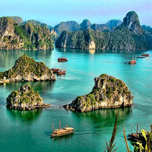 Đi tour Hạ Long 1 ngày ngắm cảnh đẹp Vịnh Hạ Long