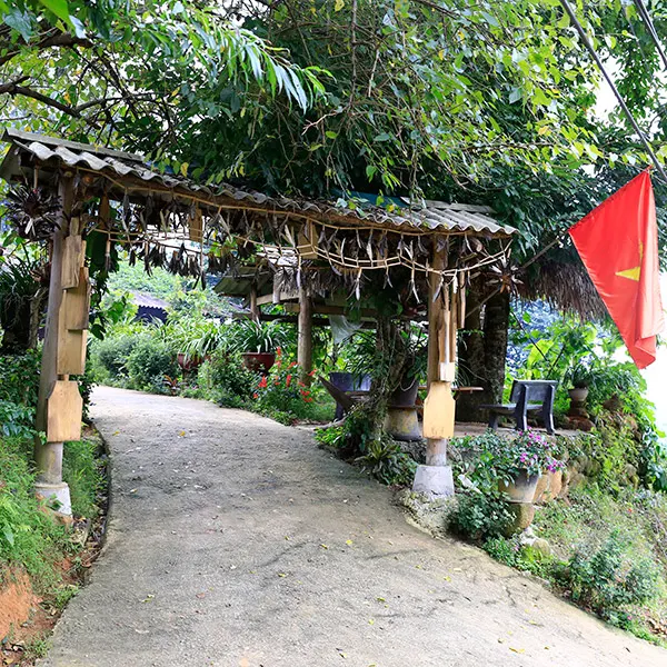 Trang trí cổng bằng Cầu lông gà