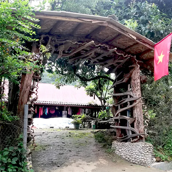 Lưỡi cầy ruộng được dùng trang trí cổng