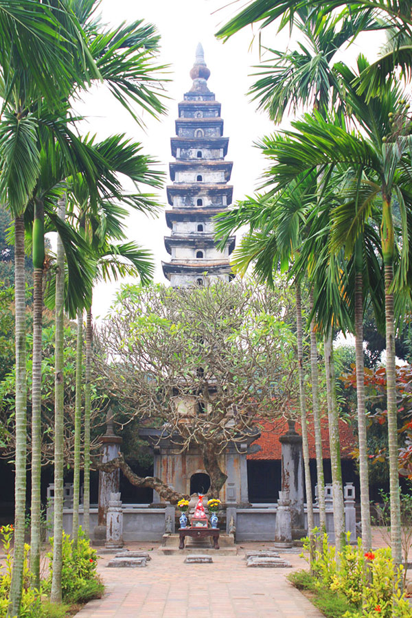 Ảnh Tháp Phổ Minh - Nam Định
