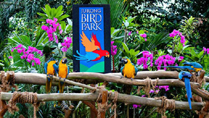Ảnh Vườn chim Jurong