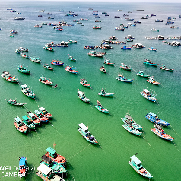 Ảnh chụp điện thoại từ cáp treo Hòn Thơm. Biển Phú Quốc màu ngọc