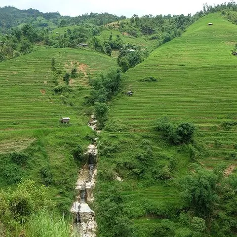 Ruộng bậc thang Hoàng Su Phì%>