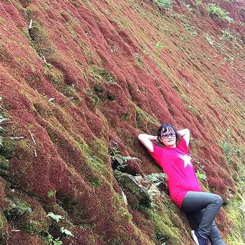 Đường chinh phục đỉnh Chiêu Lầu Thi có nhiều tảo đẹp%>