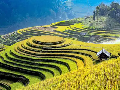 Danh thắng Quốc gia ruộng bậc thang Mù Cang Chải