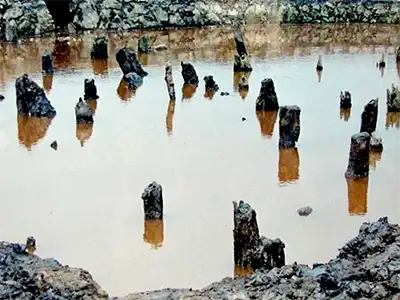 Các cuộc chiến trên sông Bạch Đằng - 3 chiến thắng sông Bạch Đằng