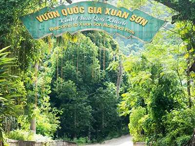 Rừng Quốc gia Xuân Sơn - Vườn Quốc gia Xuân Sơn Phú Thọ