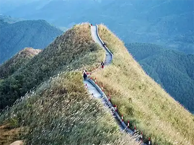 Bình Liêu mùa cỏ lau có gì đẹp? Kinh nghiệm săn lau và check-in