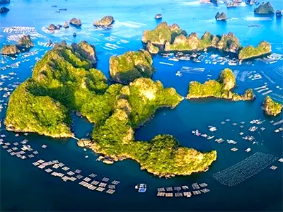 4 đảo lớn nhất Việt Nam - Diện tích, vị trí và cách di chuyển