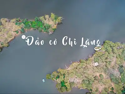 Đảo Cò Chi Lăng Hải Dương - Điểm du lịch sinh thái nổi bật