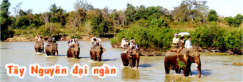 Du lịch Tây Nguyên, tour Đà Lạt - Buôn Mê Thuột - Pleiku 5 ngày 4 đêm